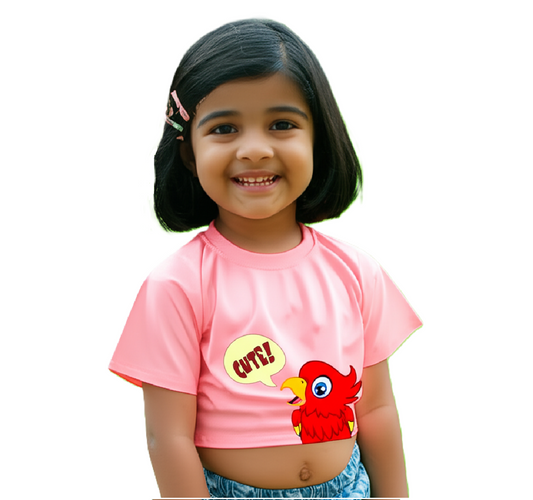 Half-Sleeve Short Length, Curved Neck Crop Top Baggy T-Shirt